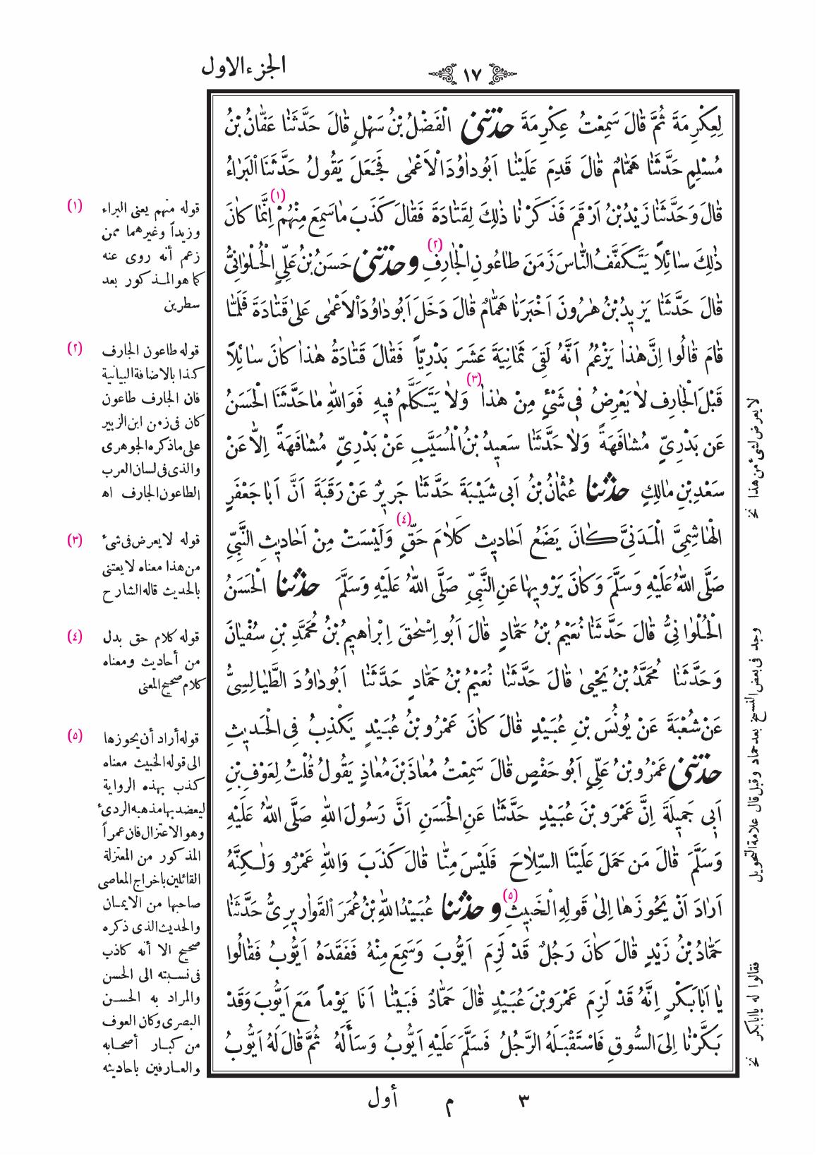 صفحة 17