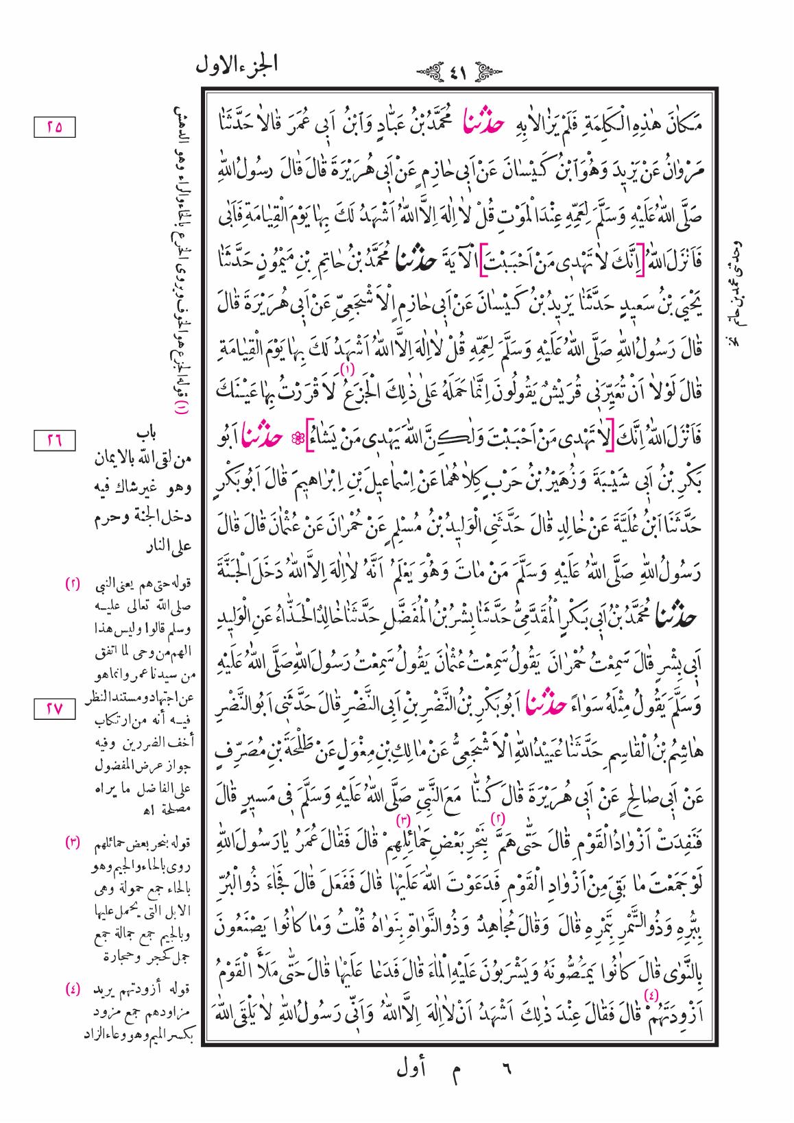 صفحة 41