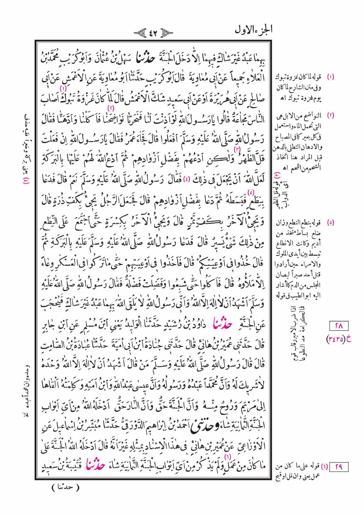 صفحة 42