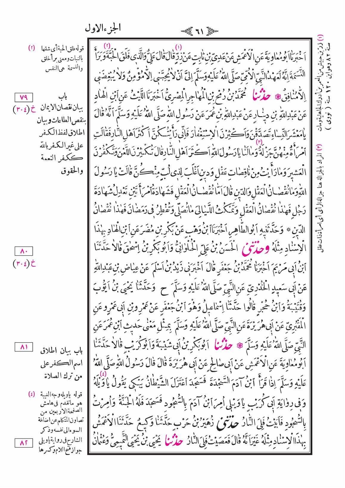 صفحة 61
