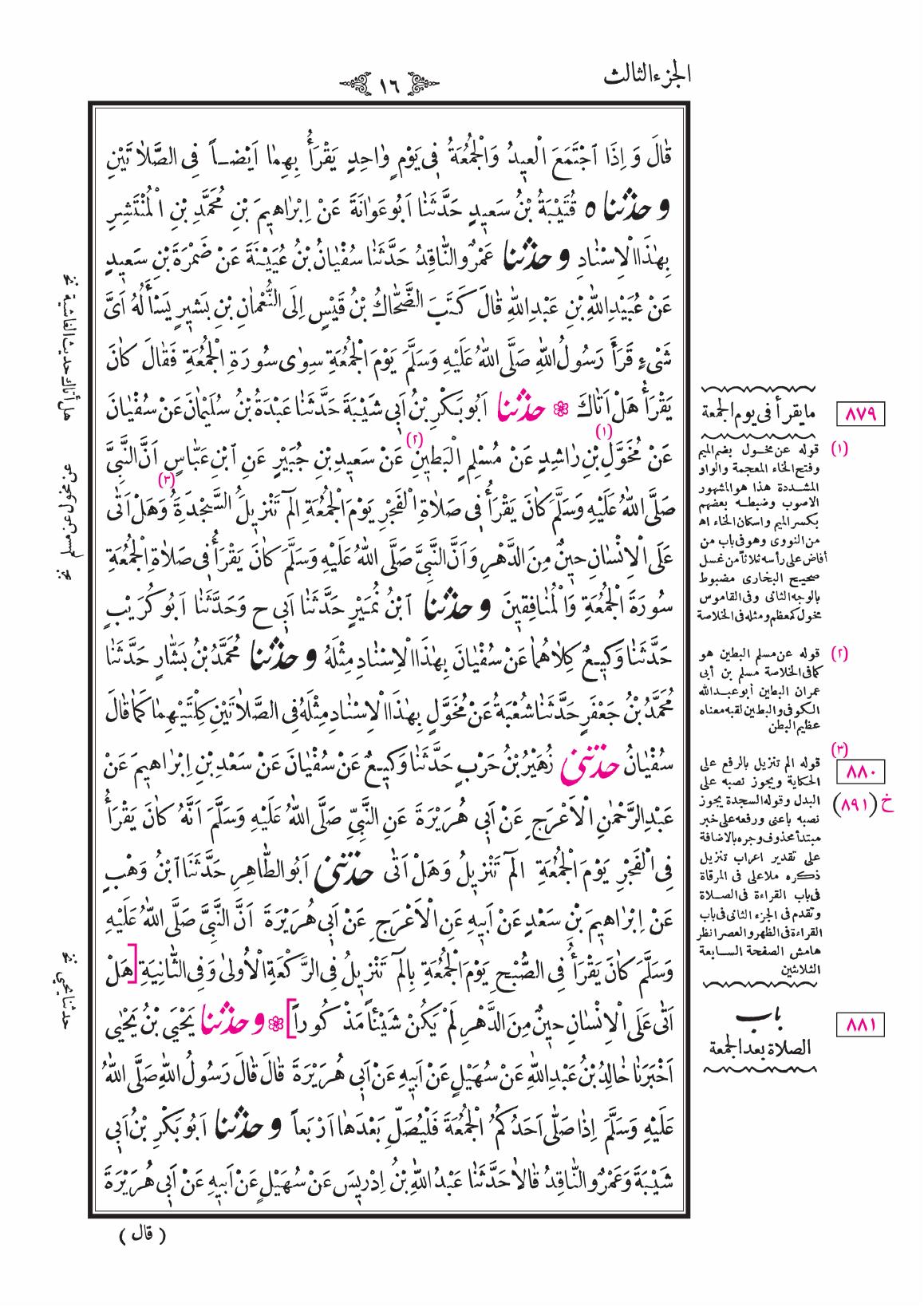 صفحة 16