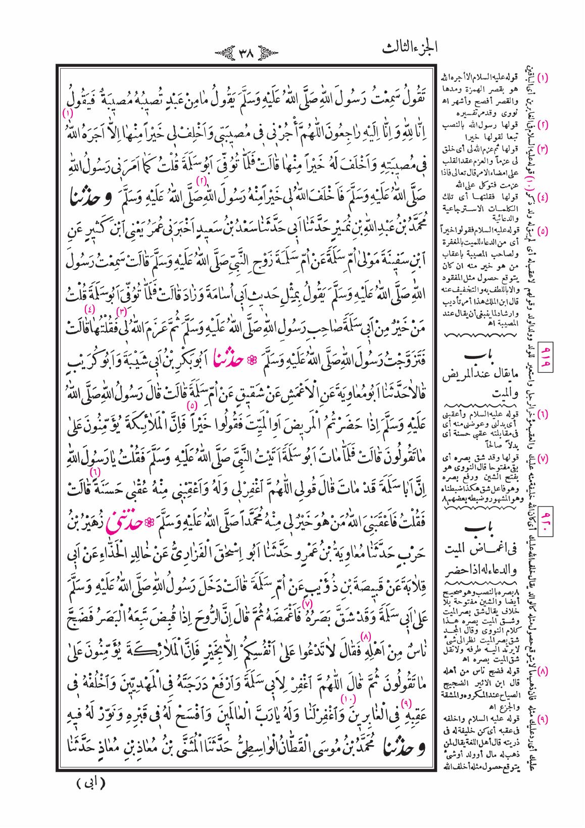 صفحة 38