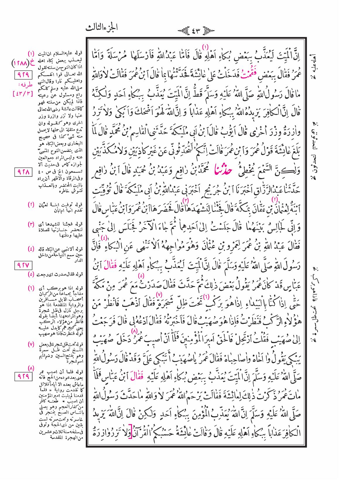 صفحة 43