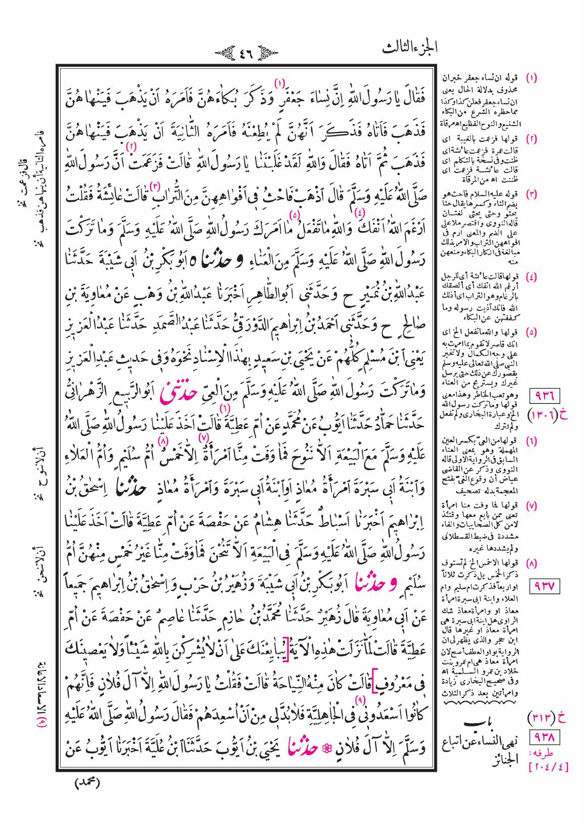 صفحة 46