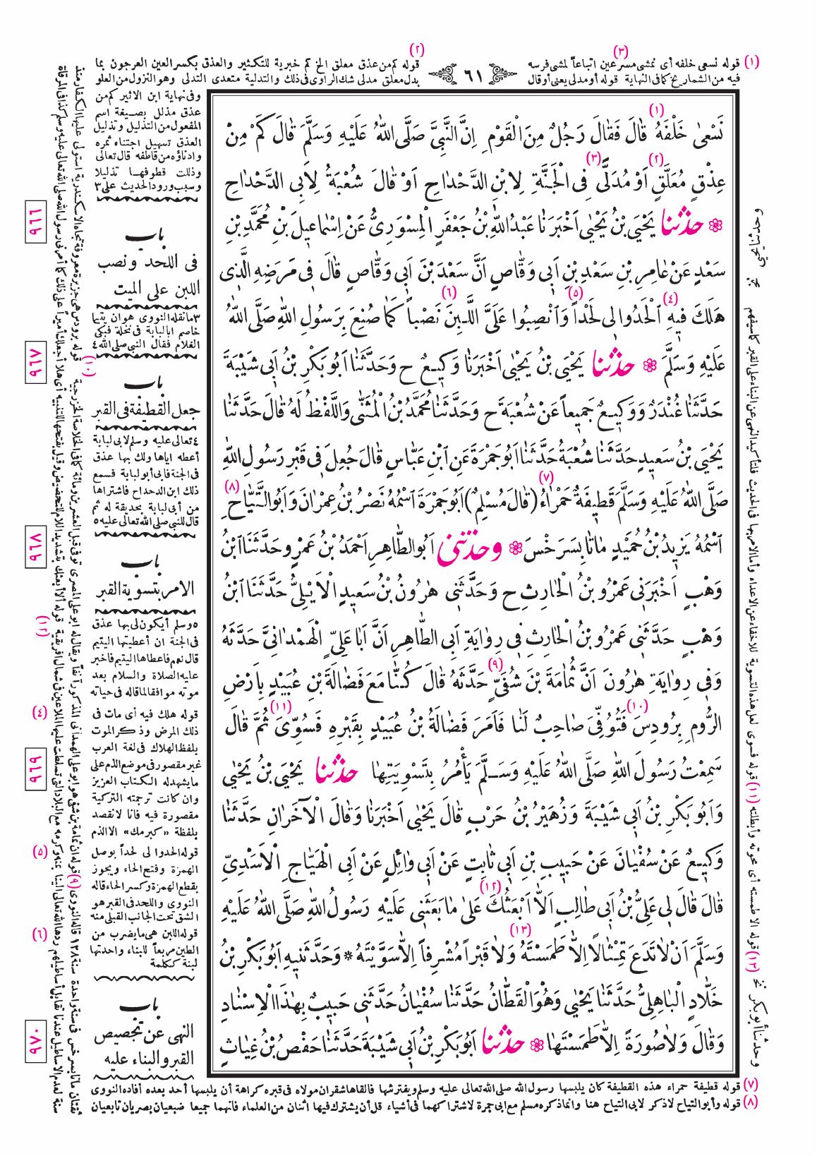 صفحة 61