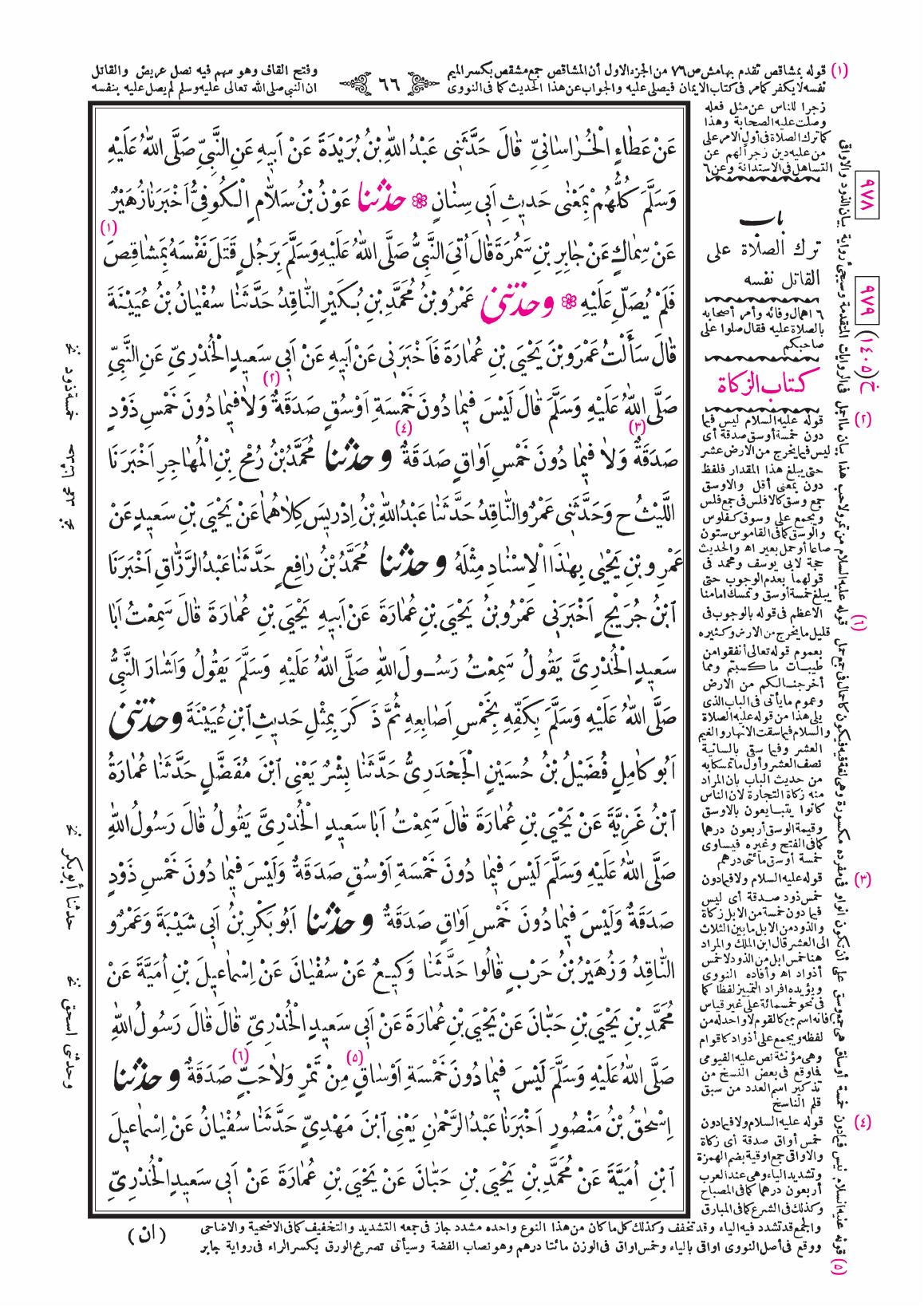 صفحة 66