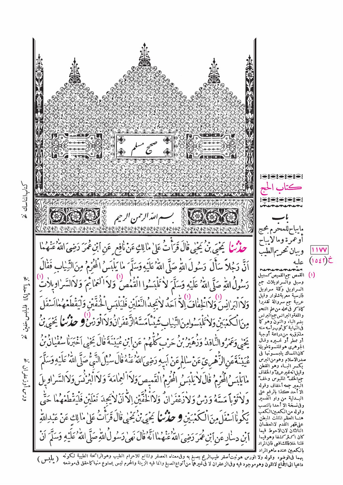 صفحة 2