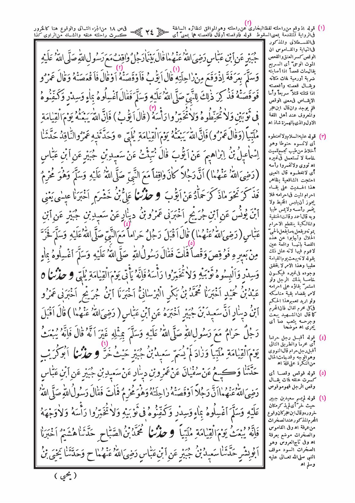صفحة 24