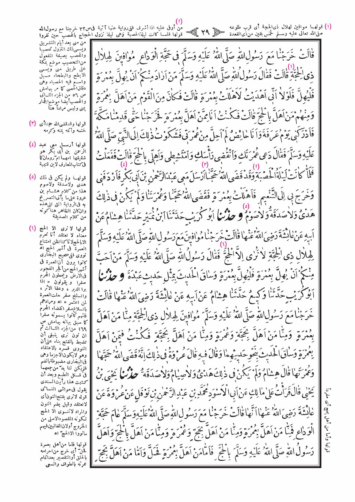 صفحة 29