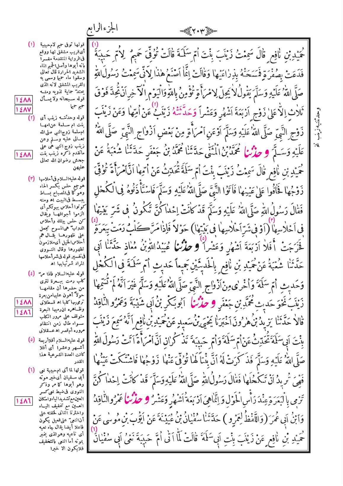 صفحة 203