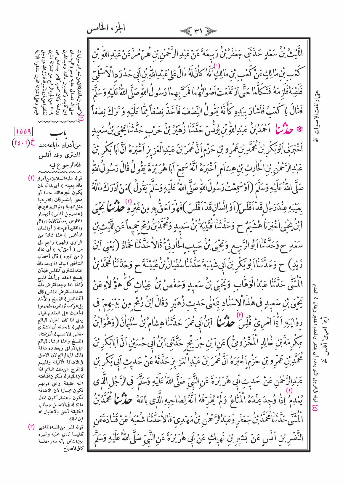 صفحة 31