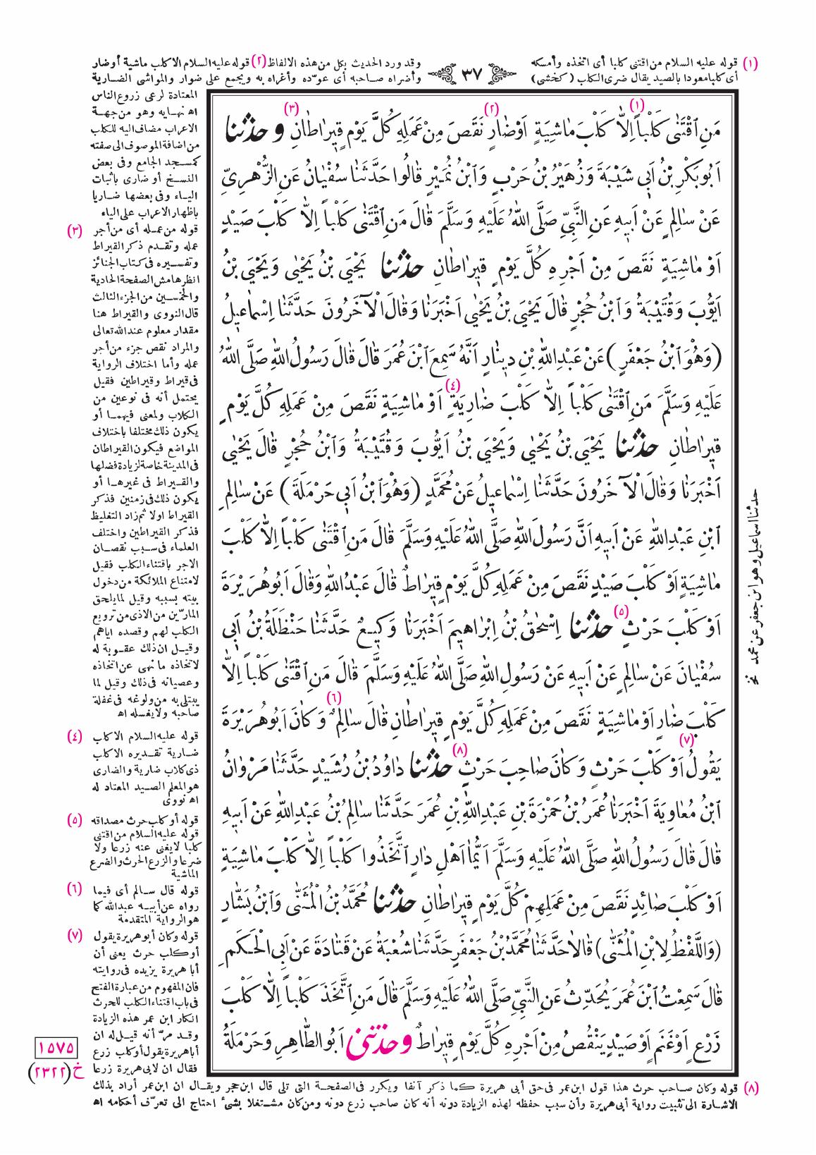 صفحة 37