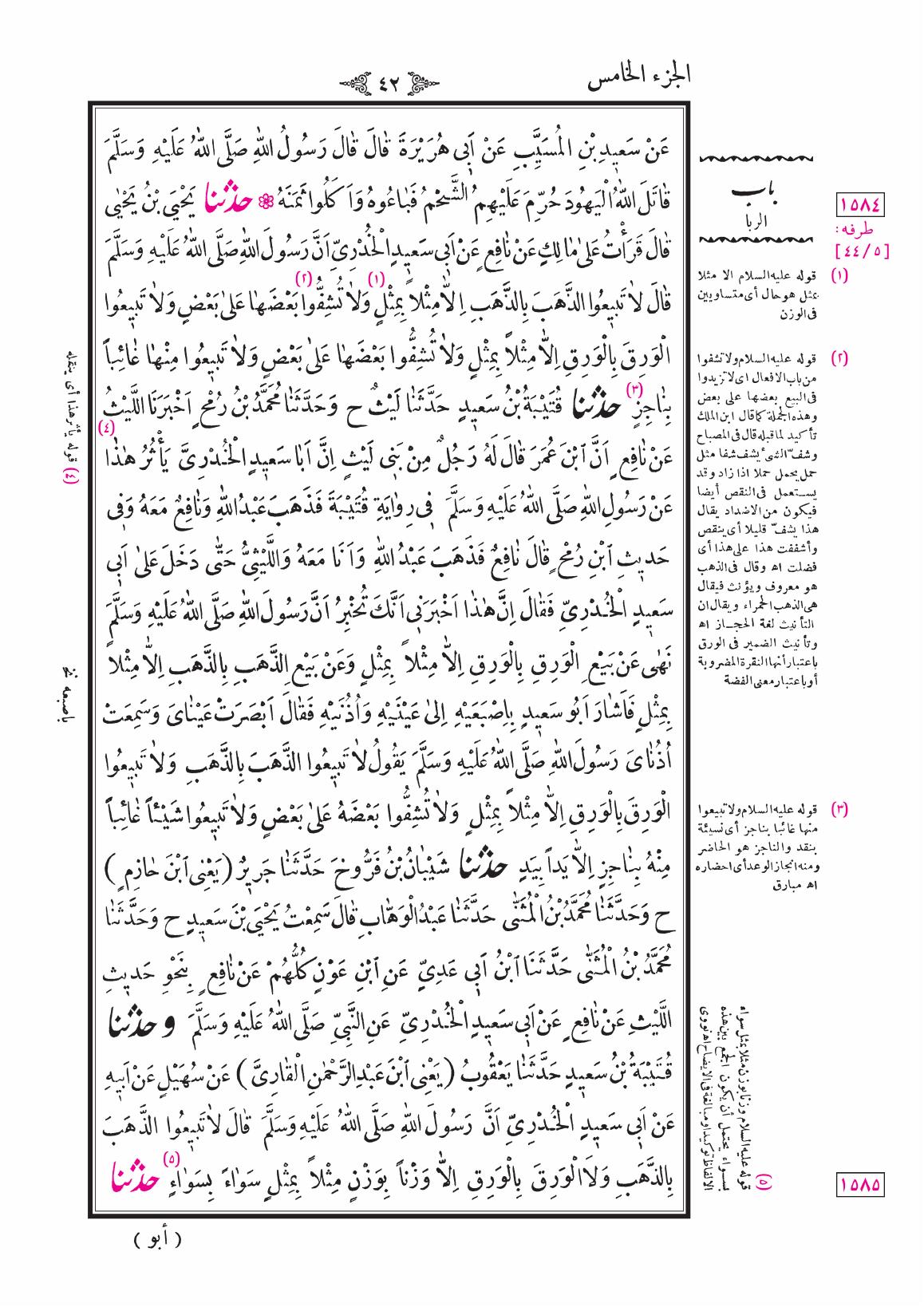 صفحة 42