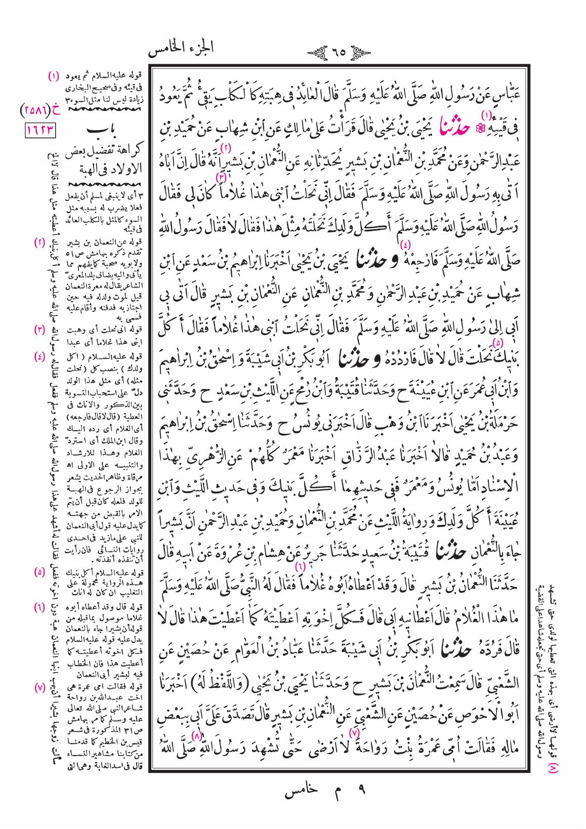 صفحة 65