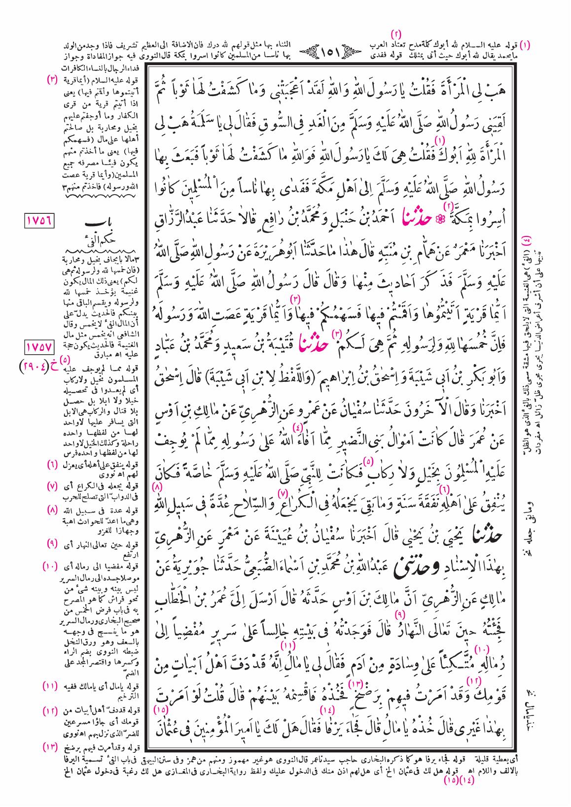 صفحة 151
