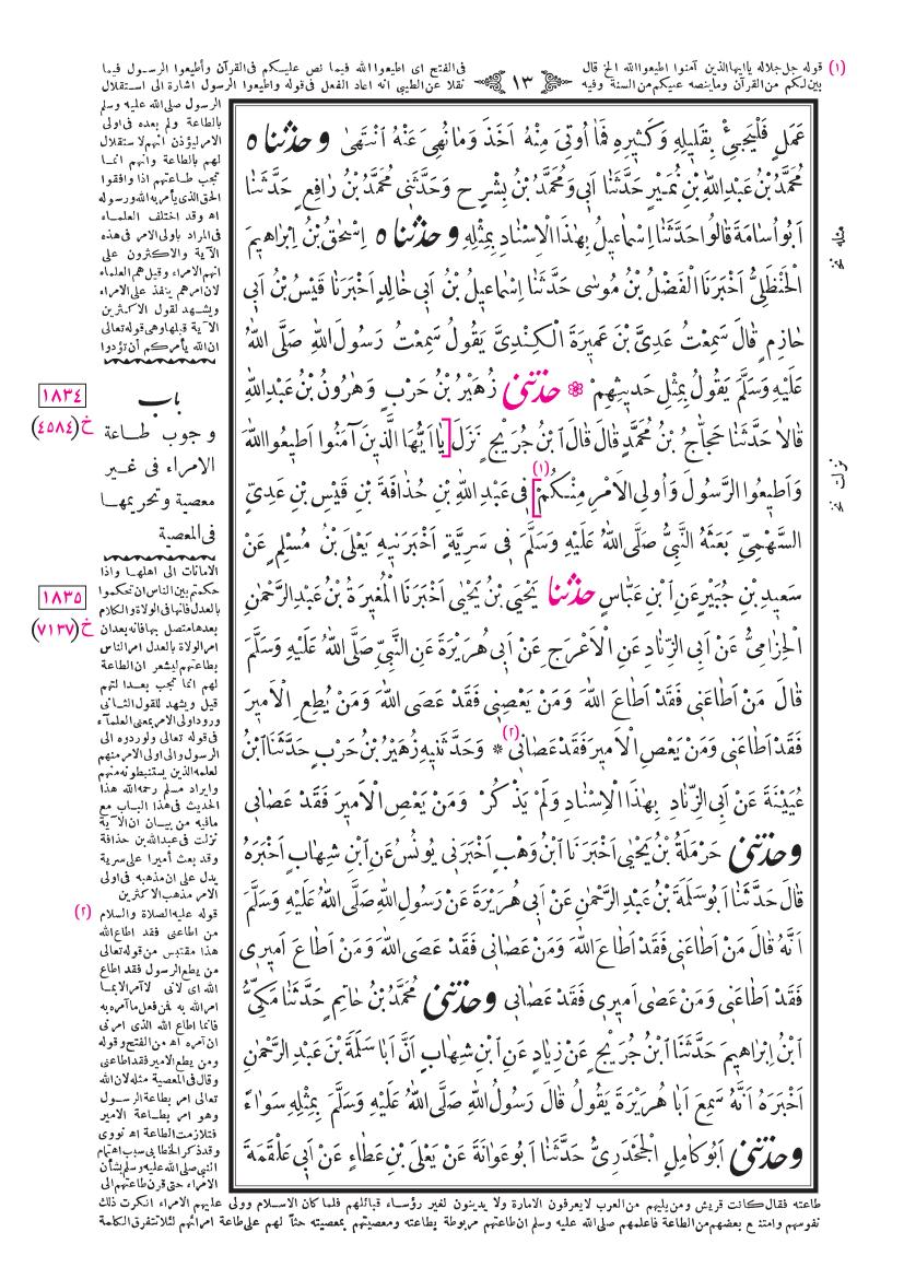 صفحة 13