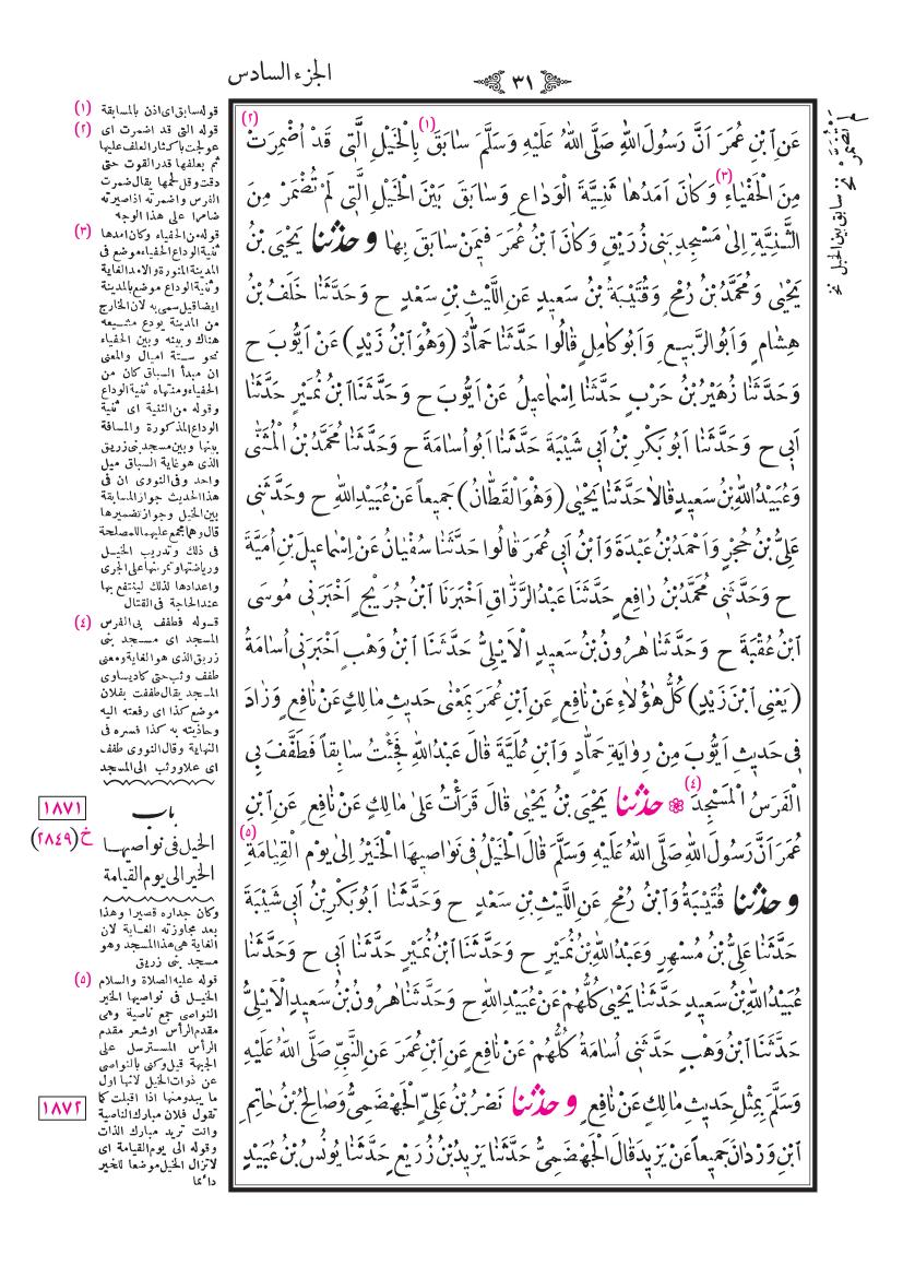 صفحة 31