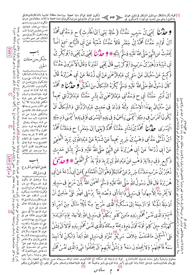 صفحة 33