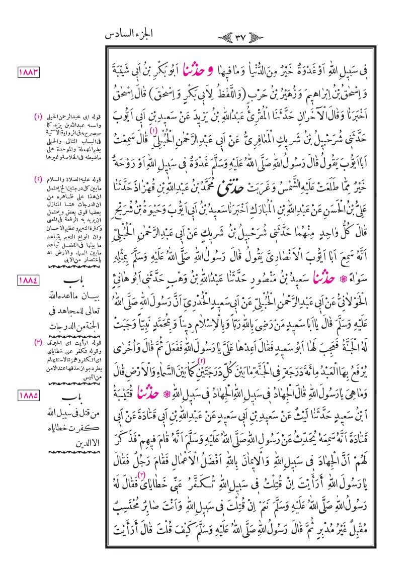صفحة 37