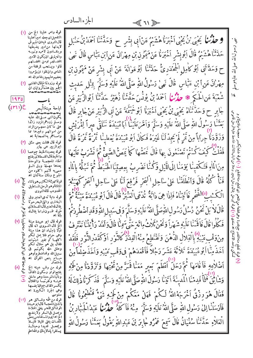 صفحة 61