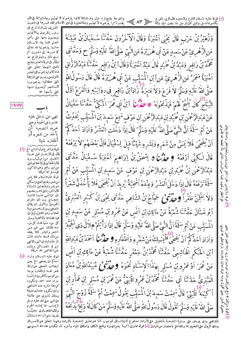 صفحة 83