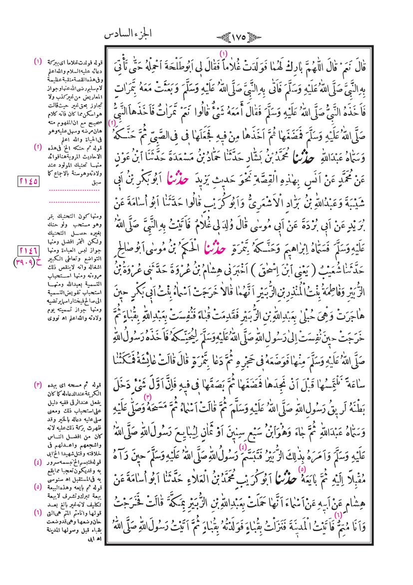 صفحة 175
