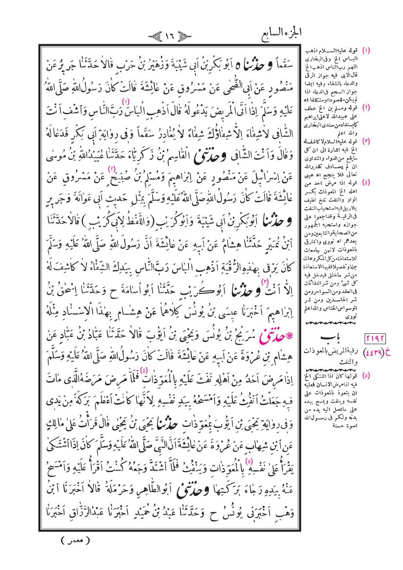 صفحة 16