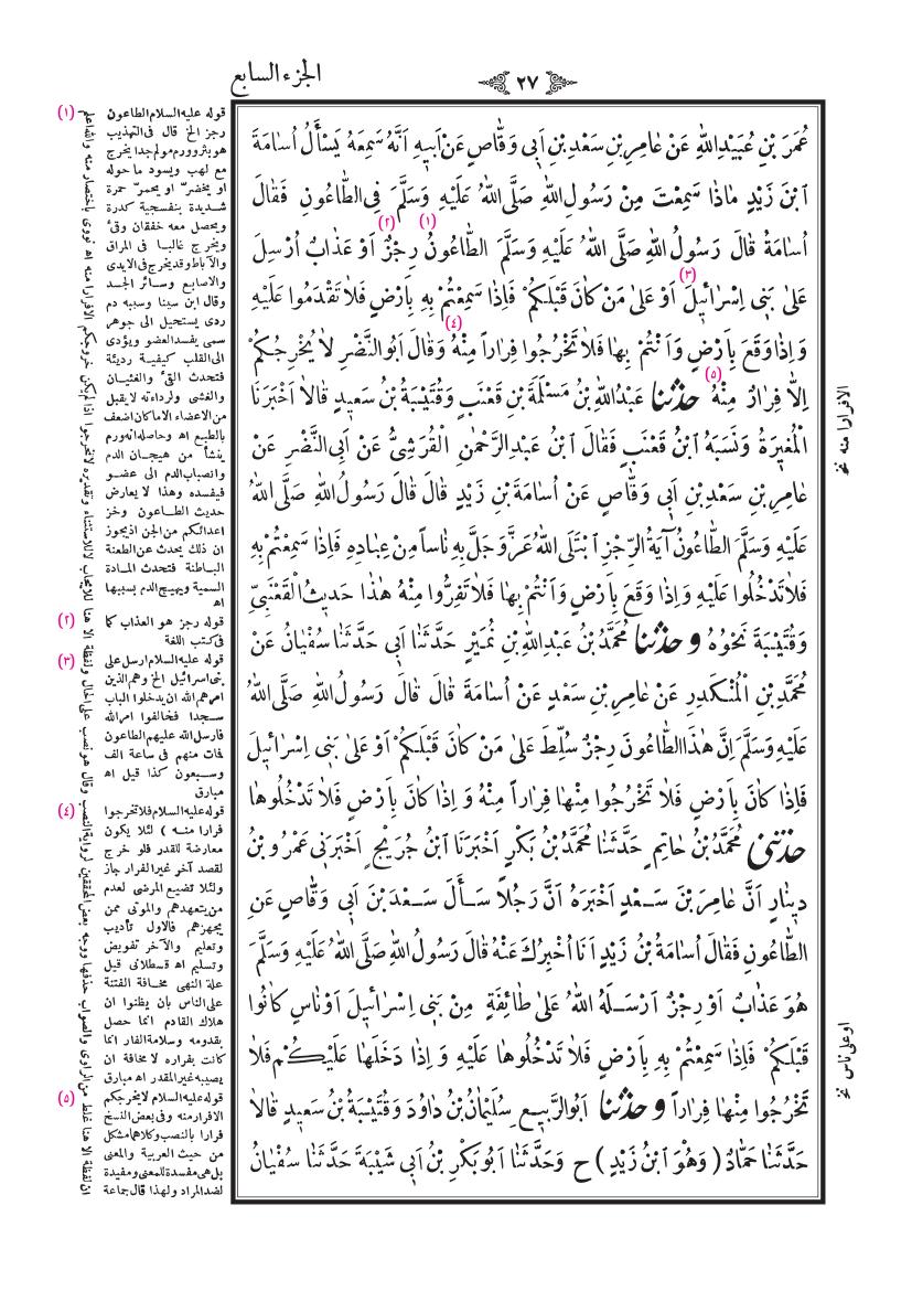صفحة 27