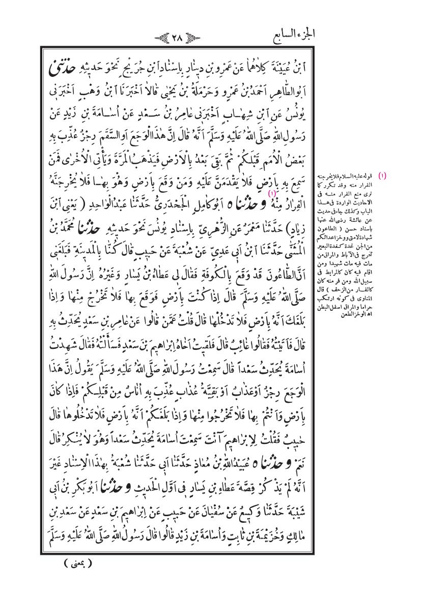صفحة 28