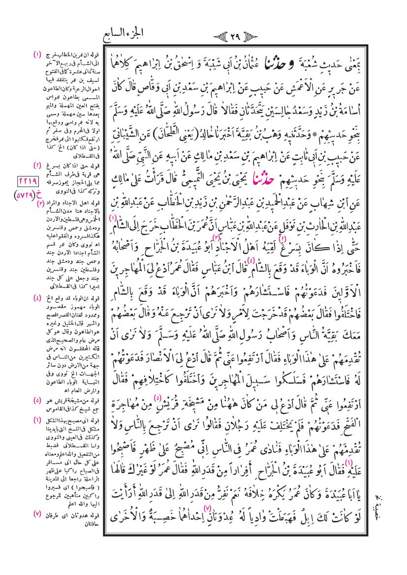 صفحة 29