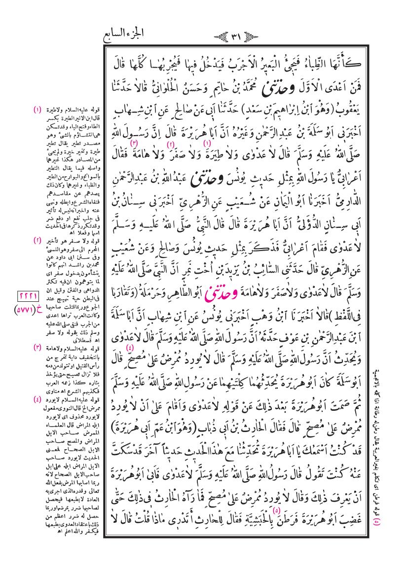 صفحة 31