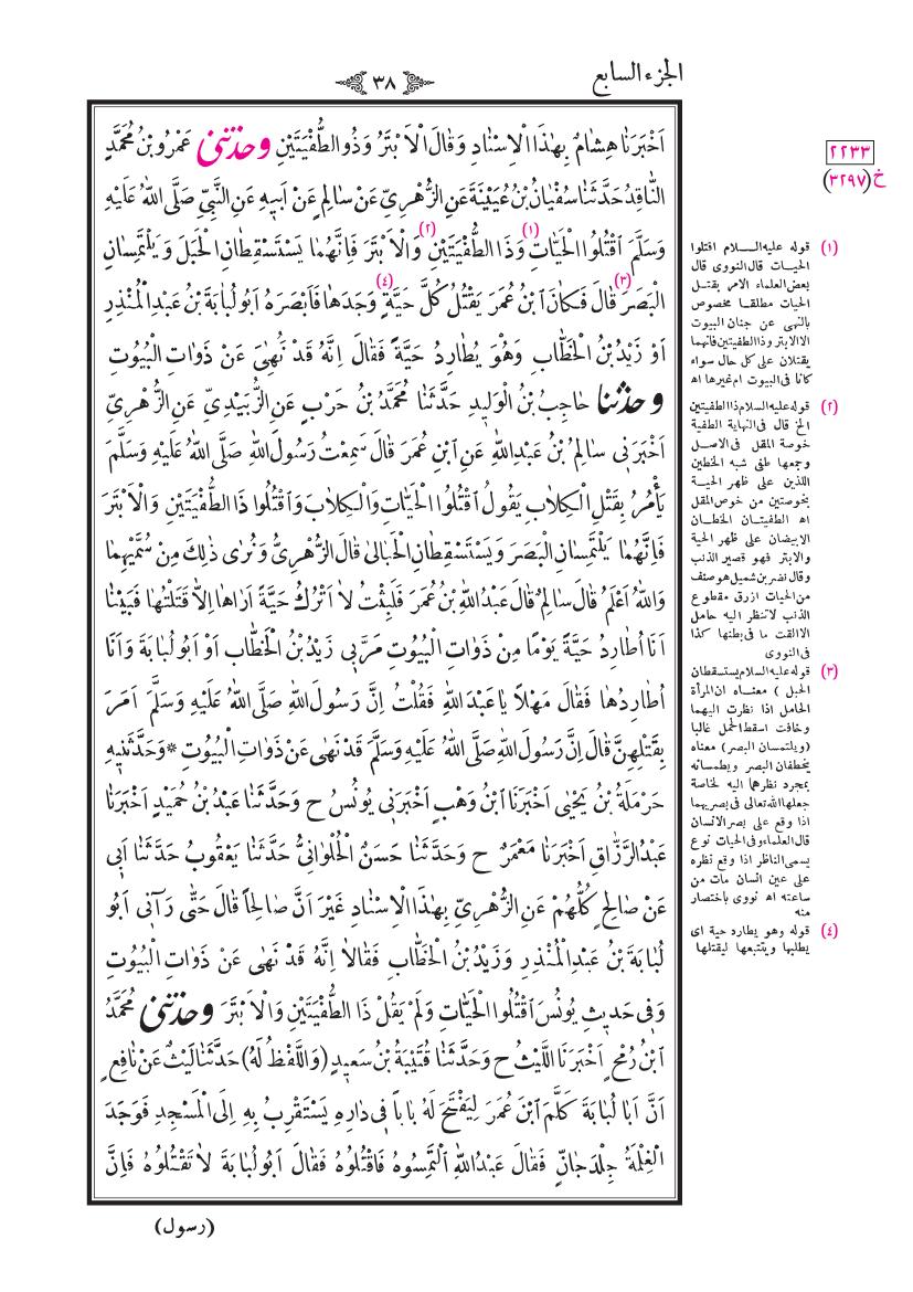 صفحة 38