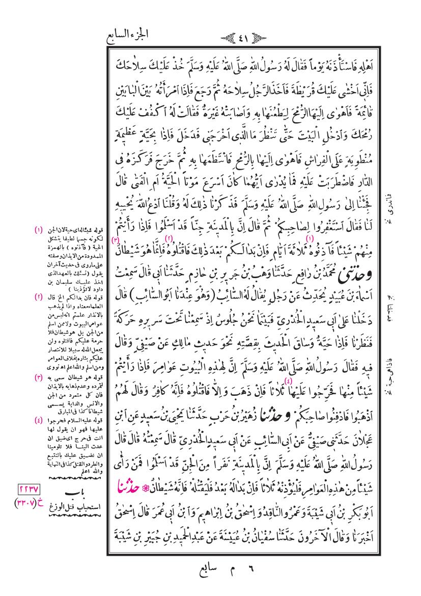 صفحة 41
