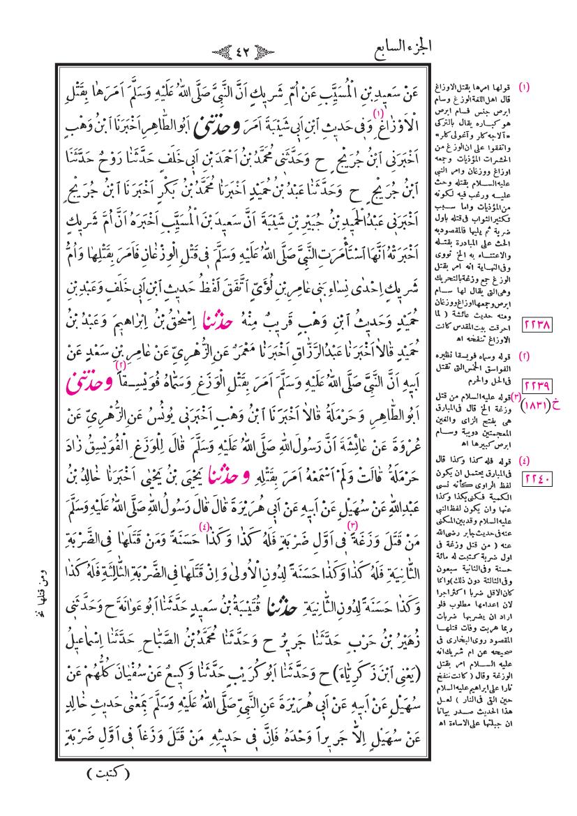 صفحة 42