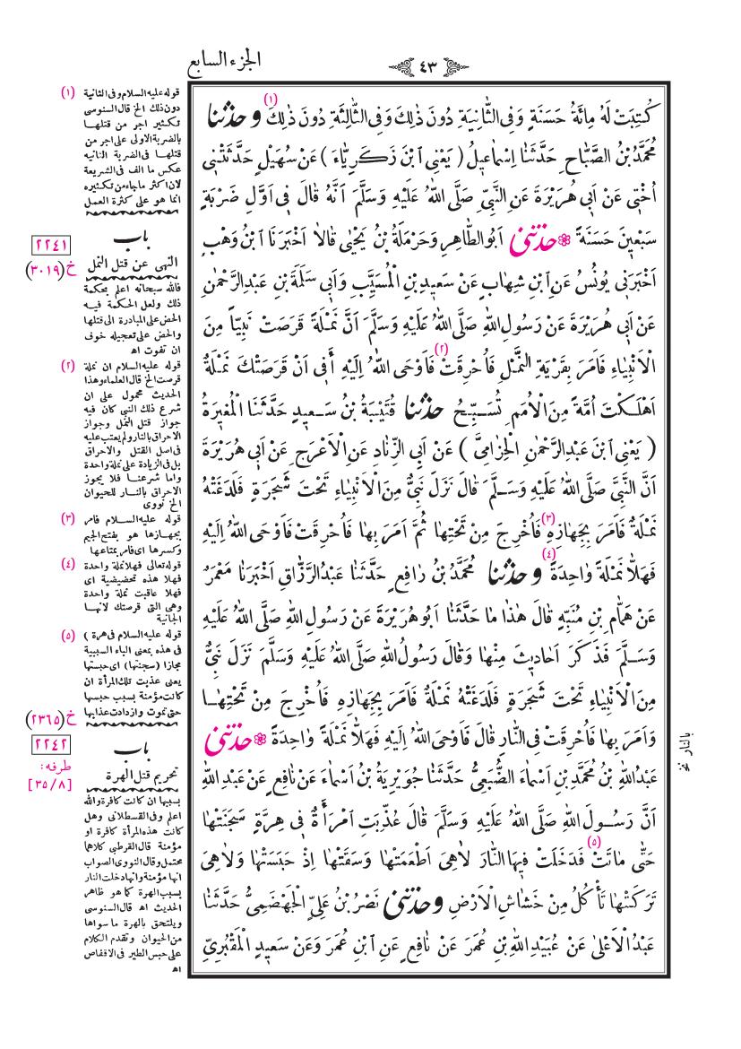 صفحة 43