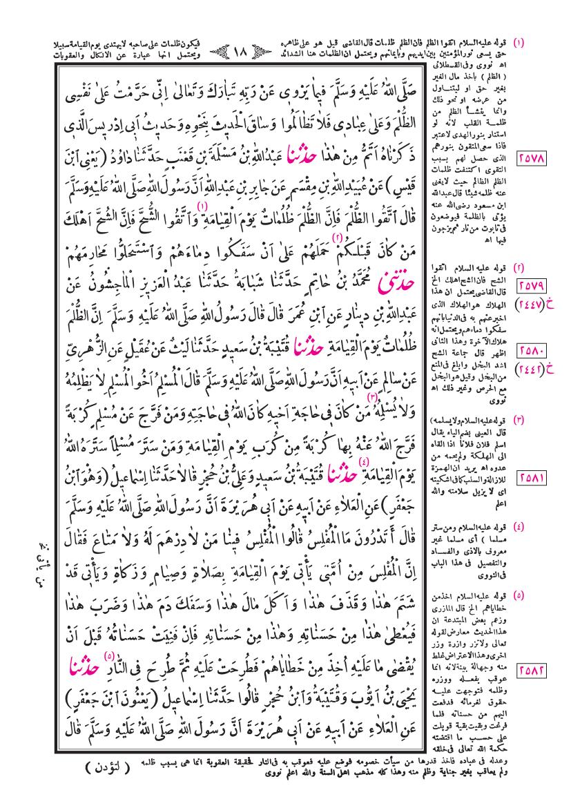 صفحة 18