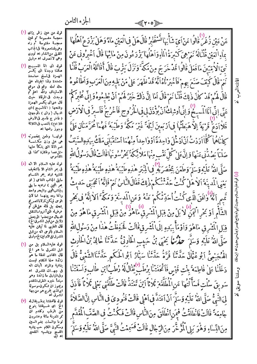 صفحة 205