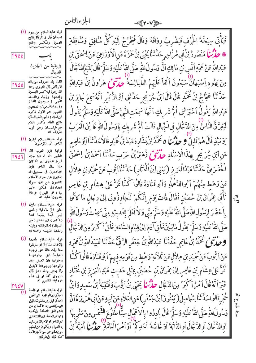 صفحة 207