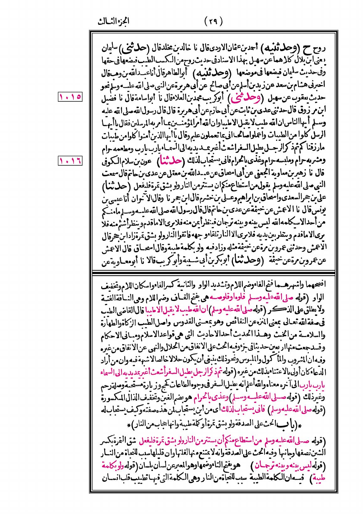 صفحة 29