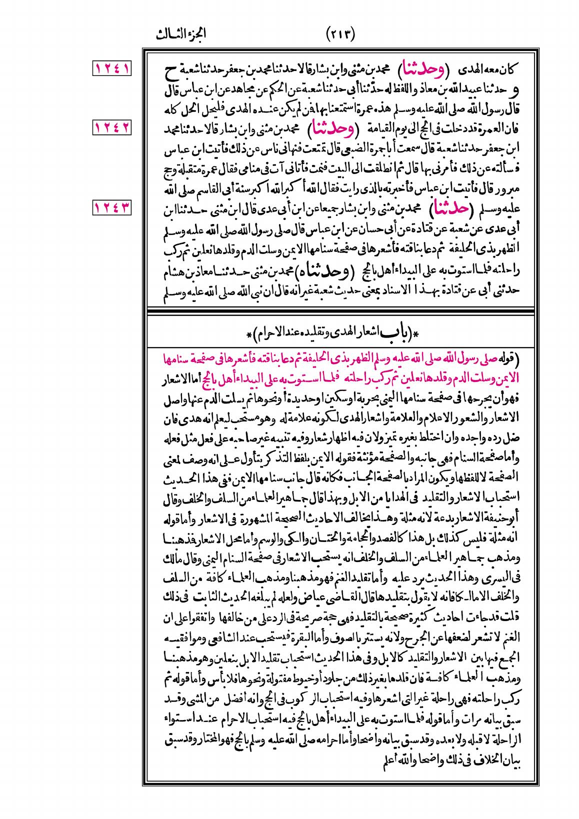 صفحة 213