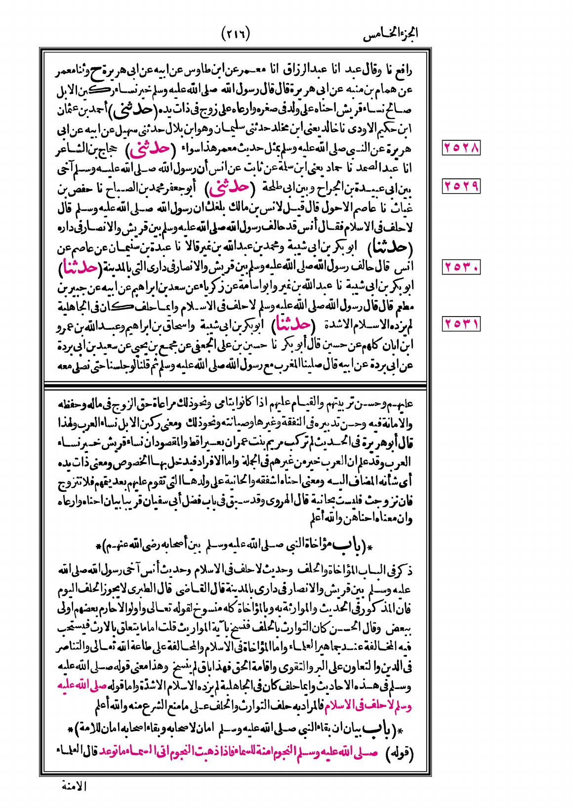صفحة 216